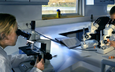 BAS marine scientists Judith Dickson and Simon Morley (Snr Scientist) working in the dry lab at King Edward Point Research Station, South Georgia.