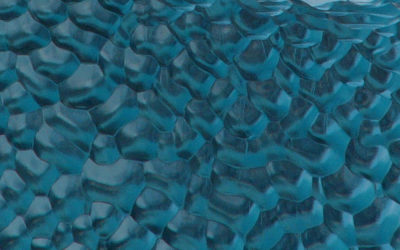 A close up of a fish.