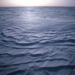 Water next to the ocean.