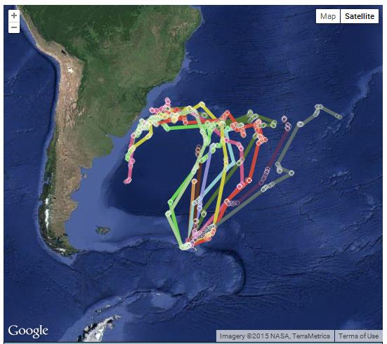 Petrel monitoring (Credit: Google, NASA, TerraMetrics)