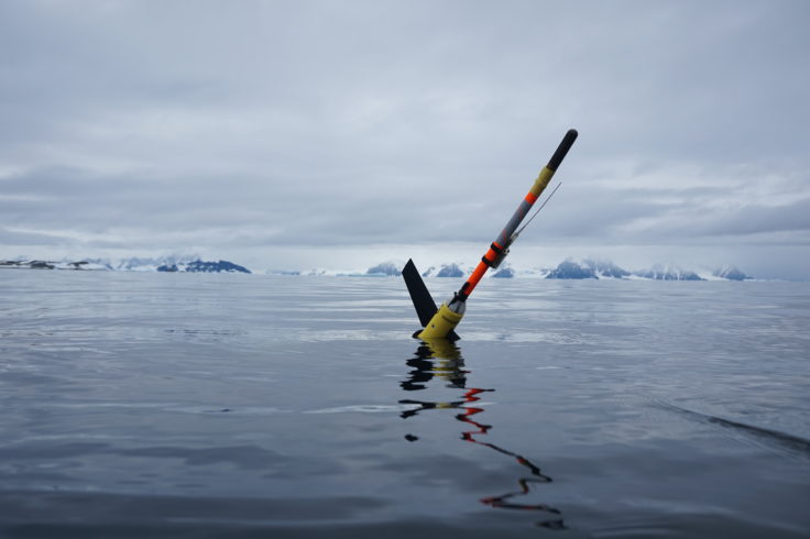Ocean glider deployed in Antarctica. Photo: Damien Guihen