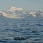 A large body of water with a mountain in the background.