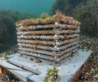 Artificial coral reef