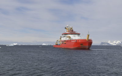 SDA close to Rothera Research Station