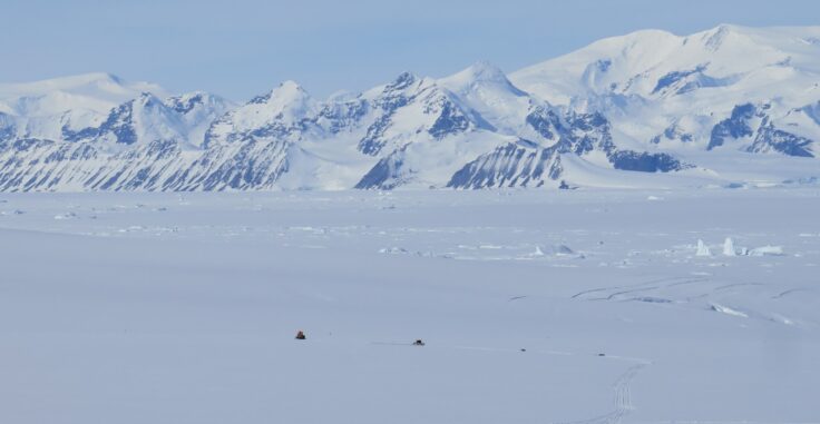 A flock of birds standing on top of a snow covered mountain